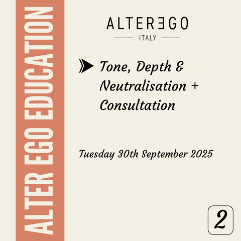 Course 2: Tone, Depth & Neutralisation + Consultation (Zoom)