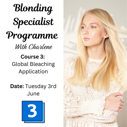 Blonding Specialist Programme - Global Bleaching Application