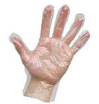 Agenda Polythene Disposable Gloves