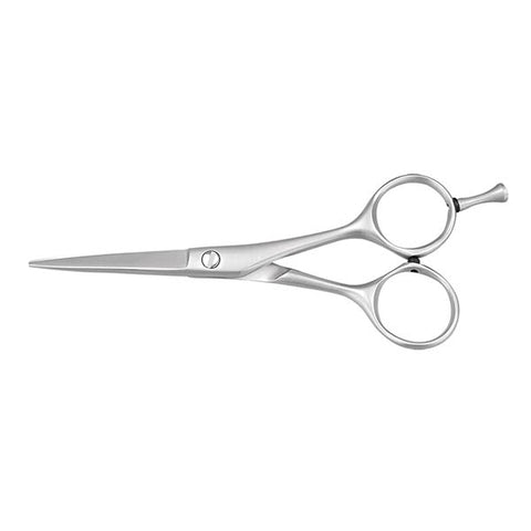 Professional Style Scissors 5"