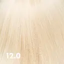 Echoscolor Blonde Extra Lift