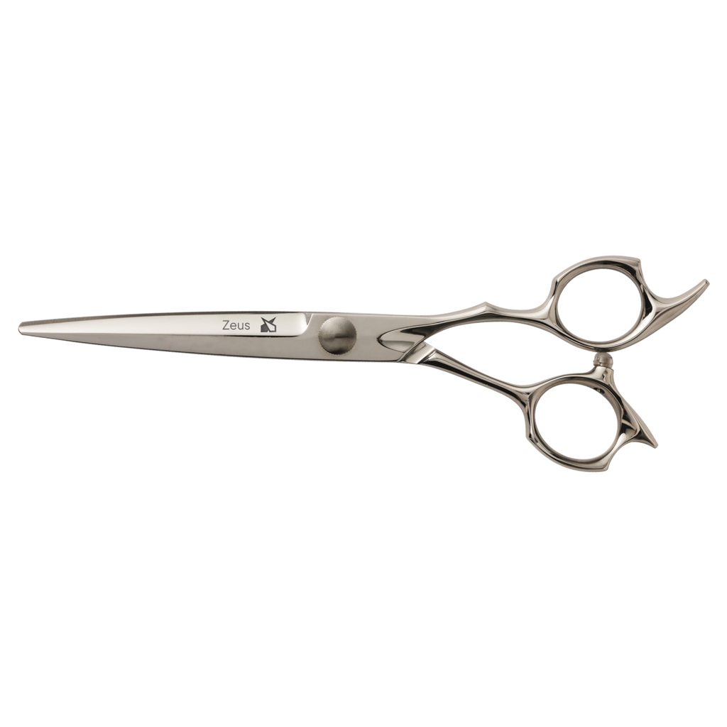 Leader Zeus 6.5" Scissors