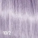 Keep It Glossy (Iris)