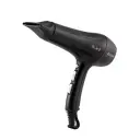 Ceriotti Style Pro Hair Dryer