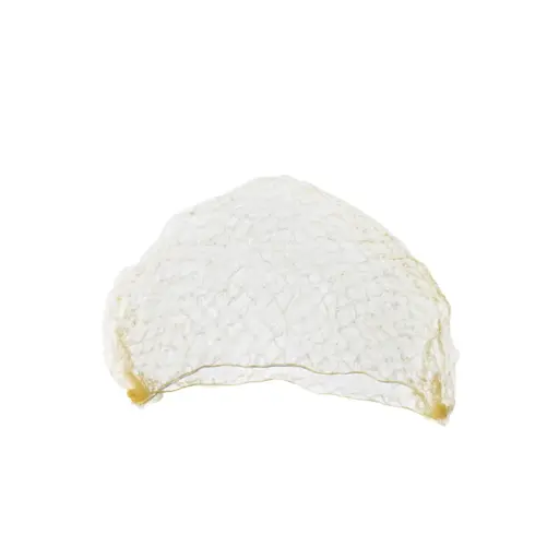 [BFUTI42784] Invisible Hair Net - Blonde (Pk of 2)