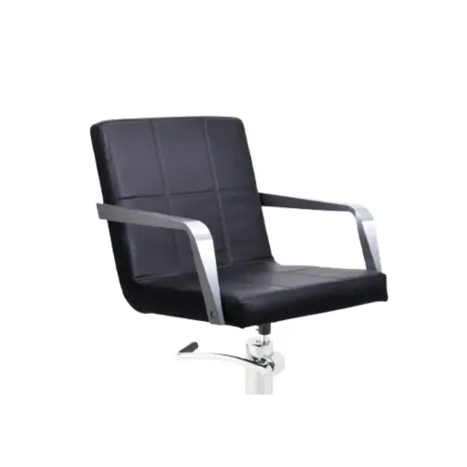 [1661106/NG3] Vega Styling Chair