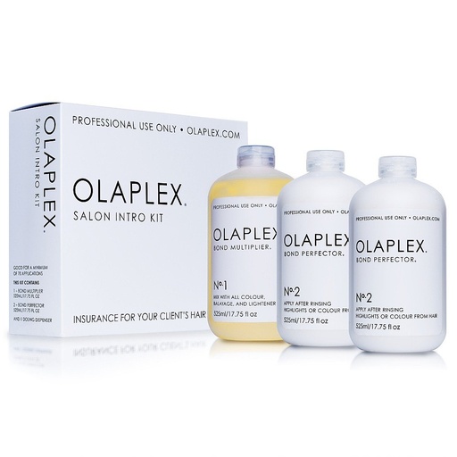 [P019367] Olaplex Salon Intro Kit
